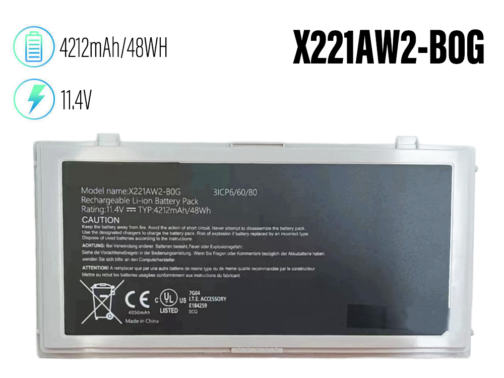 X221AW2-B0G
